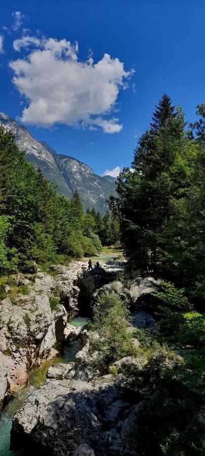 Cozy Cottage In The Heart Of The Triglav National Park Soca Exterior photo